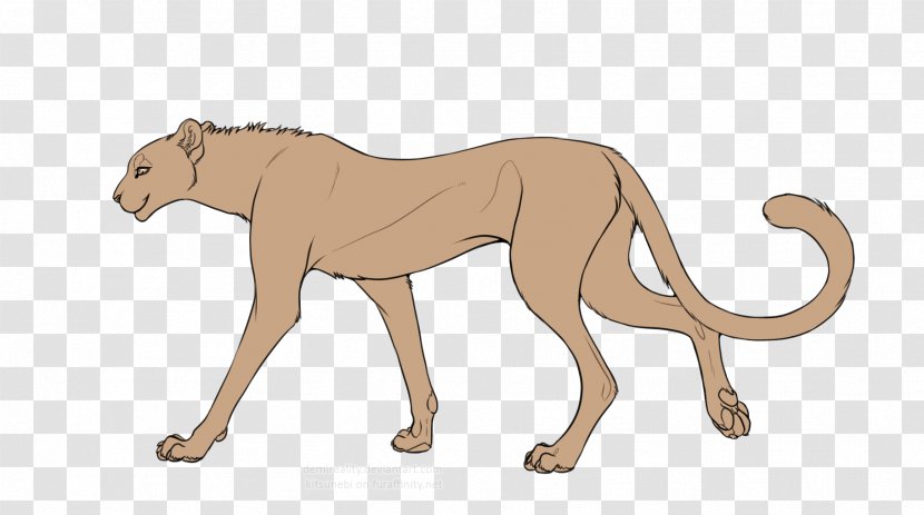 Cheetah Lion Cat Line Art Cougar Transparent PNG