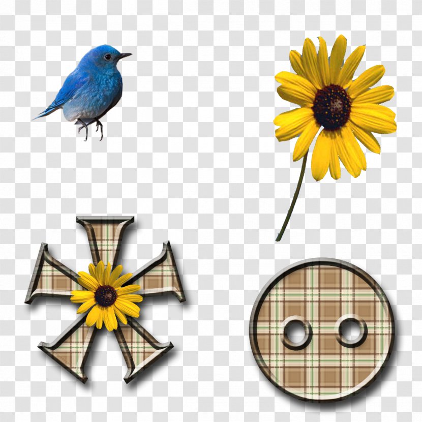 Common Sunflower Enchanteds Cut Flowers Yellow - Beak - Plaid Transparent PNG