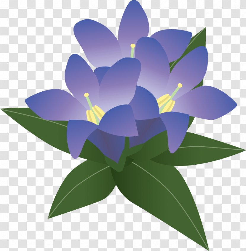 Purple Illustration - Floral Design - Green Leaves And Flowers Transparent PNG