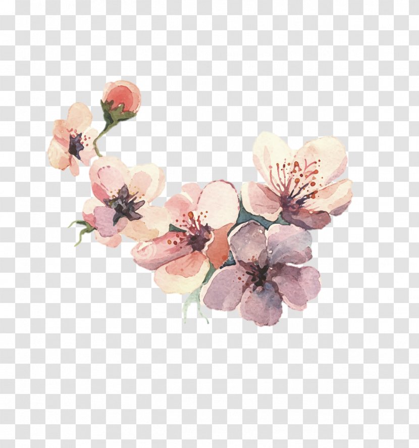 Flower Watercolor Painting Drawing - Water Color Transparent PNG