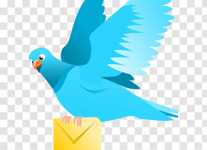 Bird Flight Columbidae Clip Art Transparent PNG