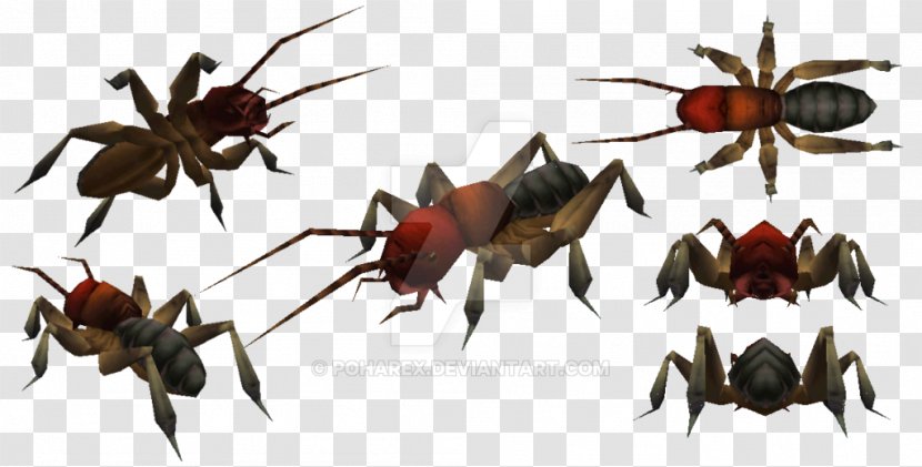 Carnivores 2 Mandible Insect - Wing Transparent PNG
