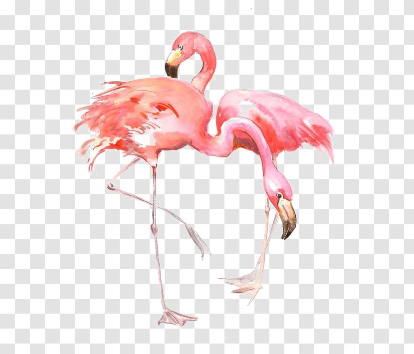 Flamingo AllPosters.com Printing Painting Printmaking - Artist - Drawing Flamingos Transparent PNG