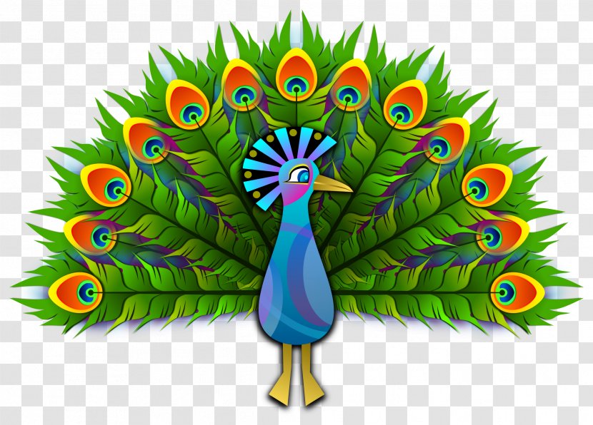 Peafowl Clip Art - Bird - Peacock Transparent PNG