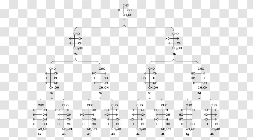 Kiliani–Fischer Synthesis Lyxose Threose Aldonic Acid Fischer Projection - Frame - Family 3D Transparent PNG