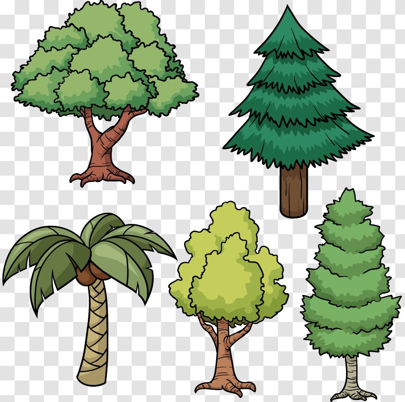 Tree Drawing Cartoon Pine - Stock Photography - Painted Green Coconut Pattern Transparent PNG