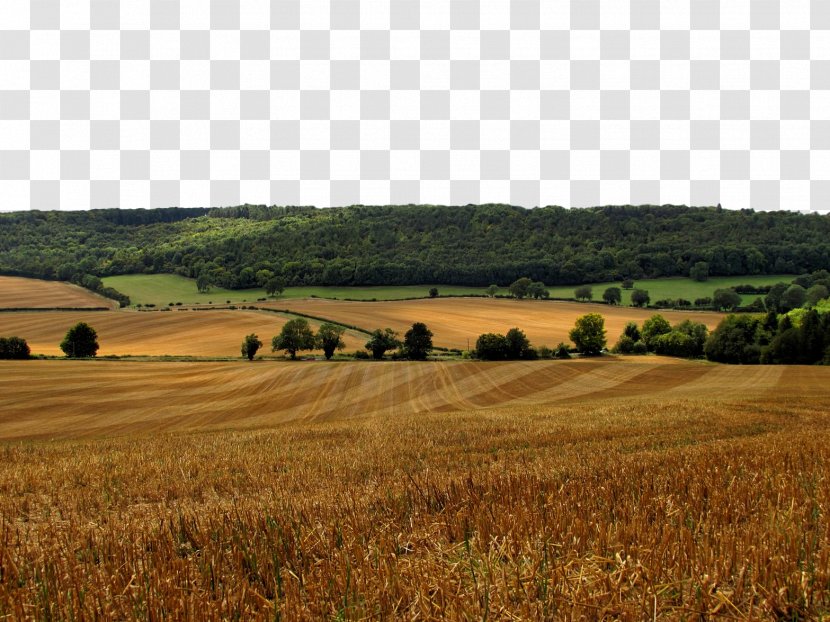 Field Natural Landscape Grassland Plain Environment - Rural Area Hay Transparent PNG