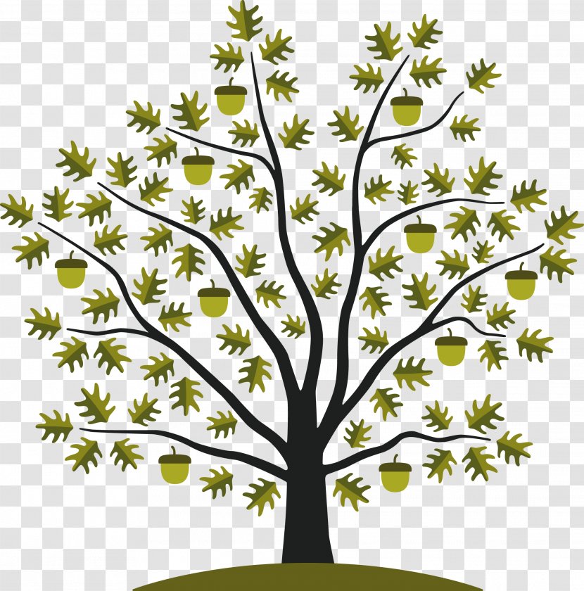 Acorn Tree White Oak Seed Clip Art - Flowering Plant - The With Four Seasons Transparent PNG