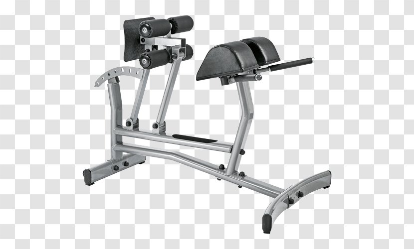 Roman Chair Bench Crunch Exercise Equipment Hyperextension - Romaine Transparent PNG