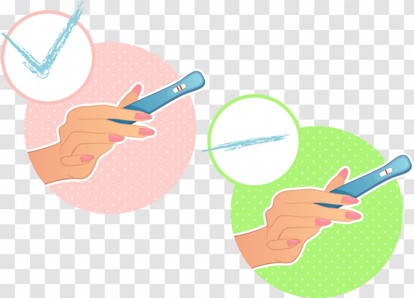 Pregnancy Test Human Chorionic Gonadotropin Illustration - Results Of Tests Transparent PNG