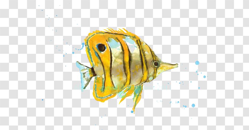 Watercolor Painting Tropical Fish Art - Fauna - Kiss Yellow Picture Material Transparent PNG