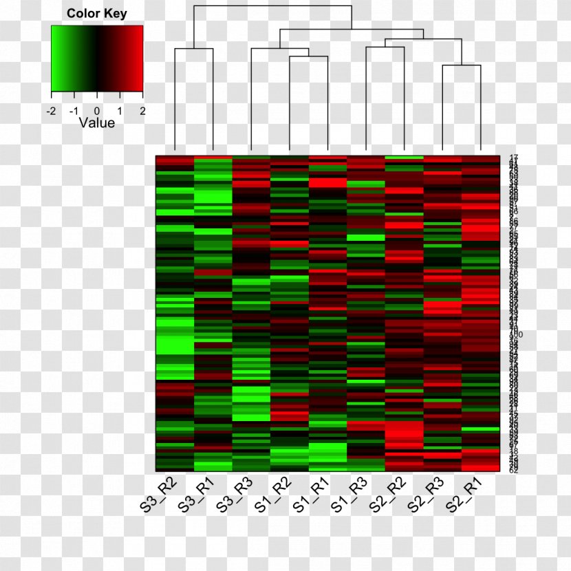 Heat Map Dendrogram Matrix Data - Text Transparent PNG