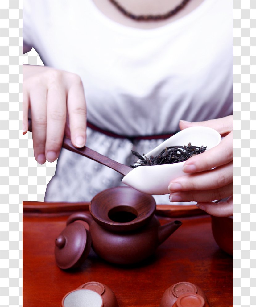 Tea Tieguanyin Da Hong Pao Kuding Junshan Yinzhen - Artist Transparent PNG