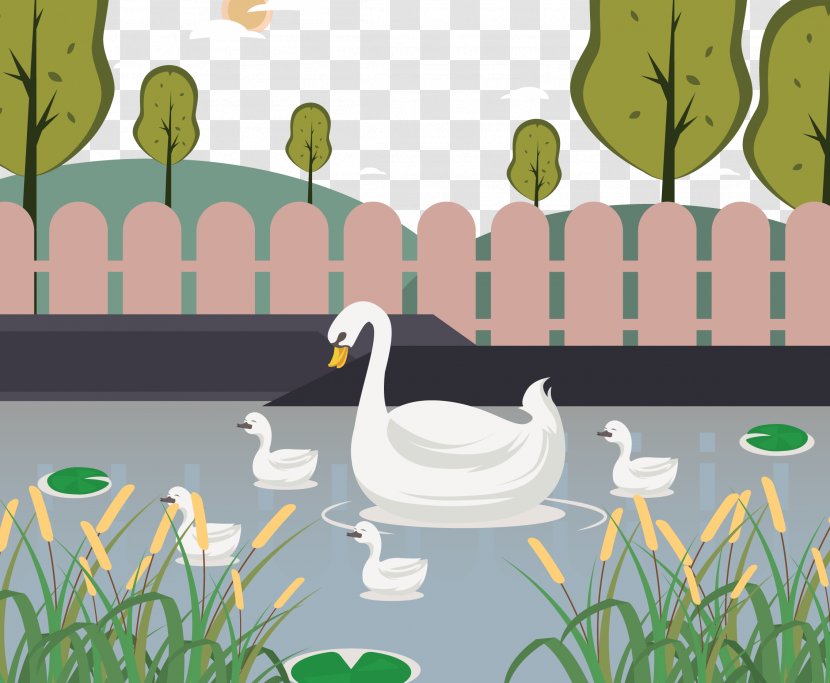 Duck Cygnini Illustration - Water - Pond Lake Baby Garden Fence Transparent PNG