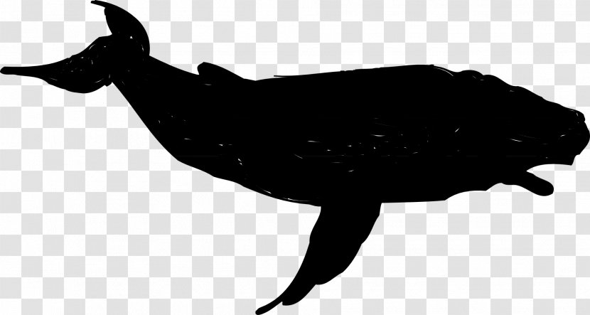 Beak Clip Art Fauna Silhouette Marine Mammal Transparent PNG