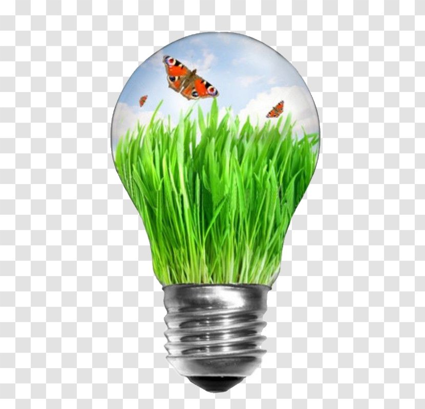 Incandescent Light Bulb Renewable Energy Stock Photography Efficient Use - Butterfly Lamp Creative Transparent PNG