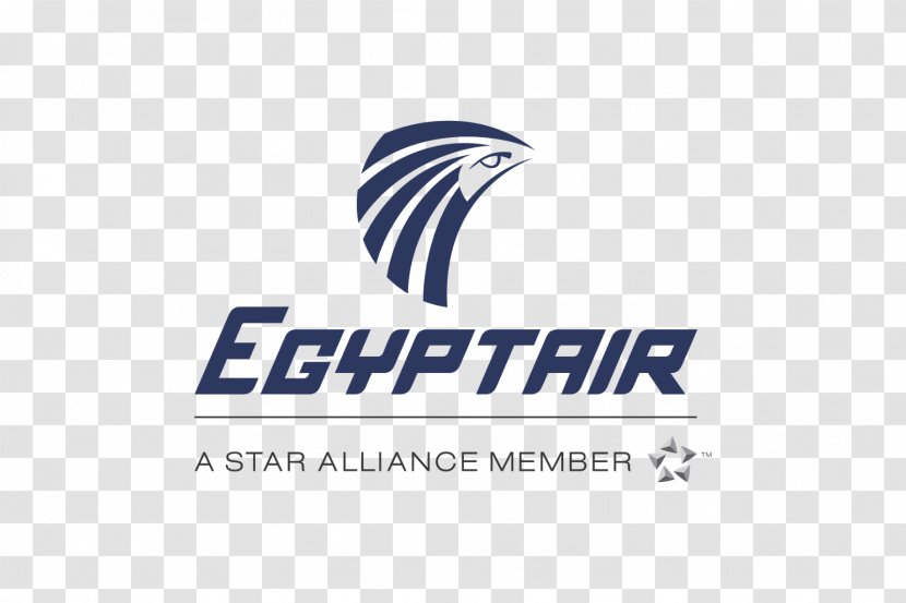 EgyptAir Flight 804 Airbus A330 Airline - Area - Air Vector Transparent PNG