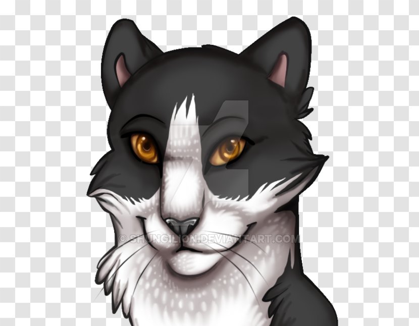 Whiskers Cat Snout Cartoon Illustration - Head Transparent PNG