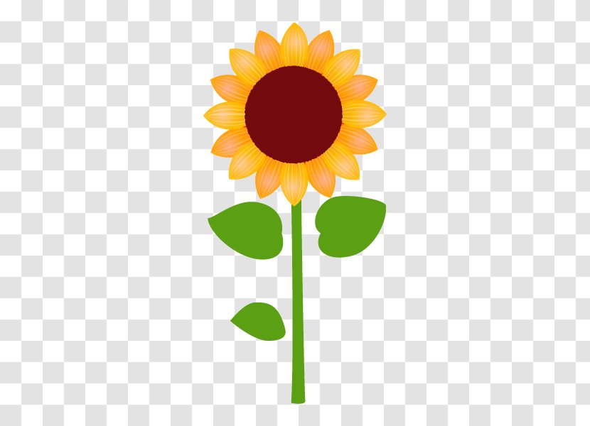 Common Sunflower Illustration Vector Graphics Royalty-free Drawing - Cartoon - Flowerpot Transparent PNG