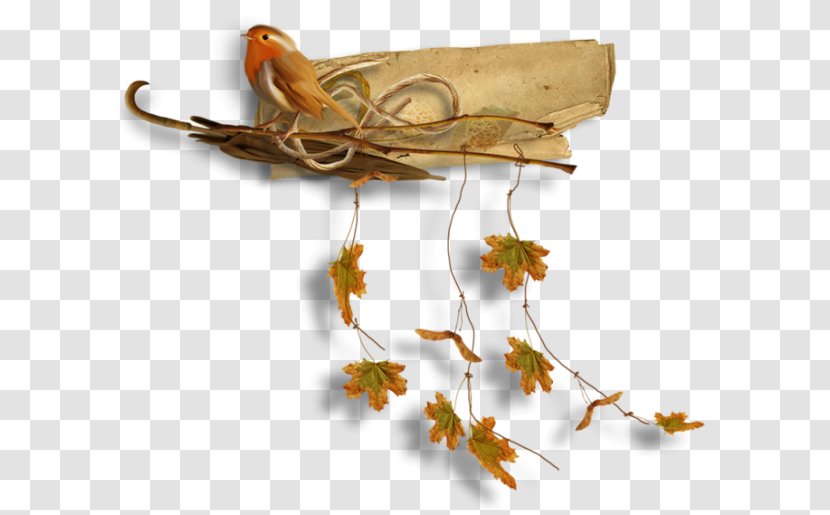 Autumn Season Clip Art - Branch Transparent PNG