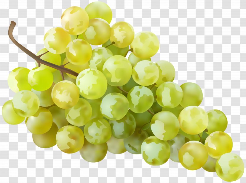 White Wine Sultana Grape Clip Art - Seed Extract - Transparent Image Transparent PNG