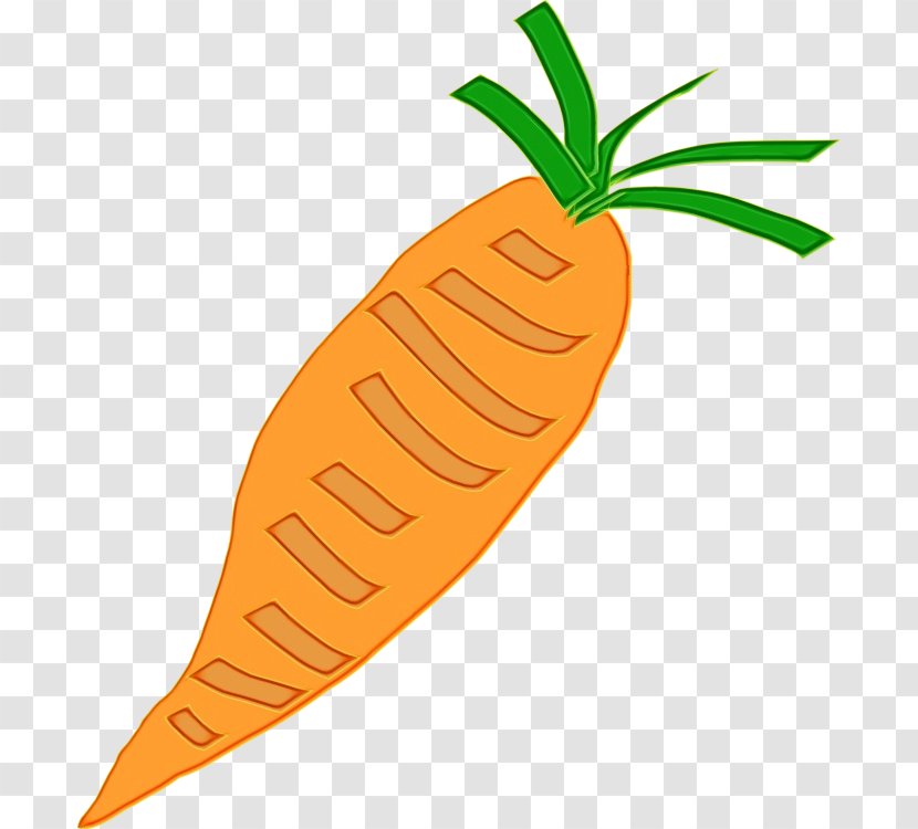 Carrot Cartoon - Vegan Nutrition Daikon Transparent PNG