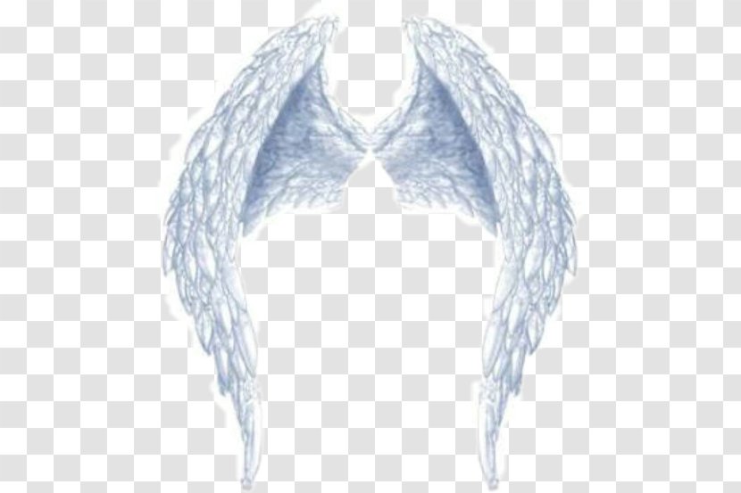 Image PicsArt Photo Studio Wing GIF - Jaw - Angel Wings And Halo Transparent PNG