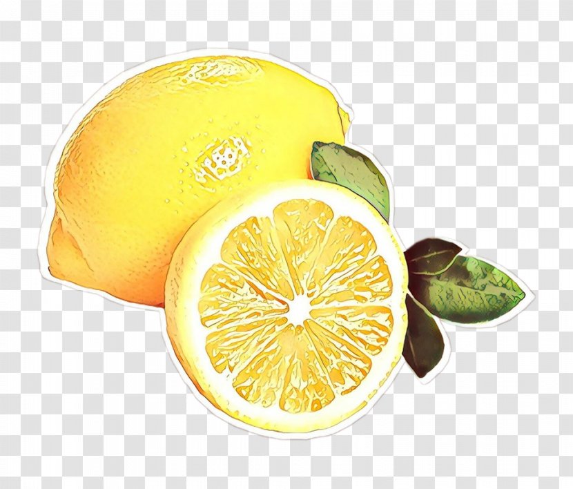 Lemon Citrus Yellow Citron Fruit - Lemonlime Persian Lime Transparent PNG