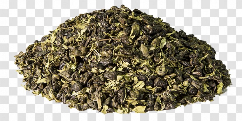 Anise Tea Herb Meghli Child - Salvia Hispanica - Take It Fast Transparent PNG
