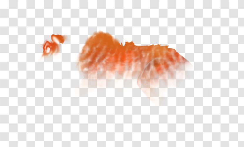 Close-up Organism - Peach - Mist Shrouded Transparent PNG