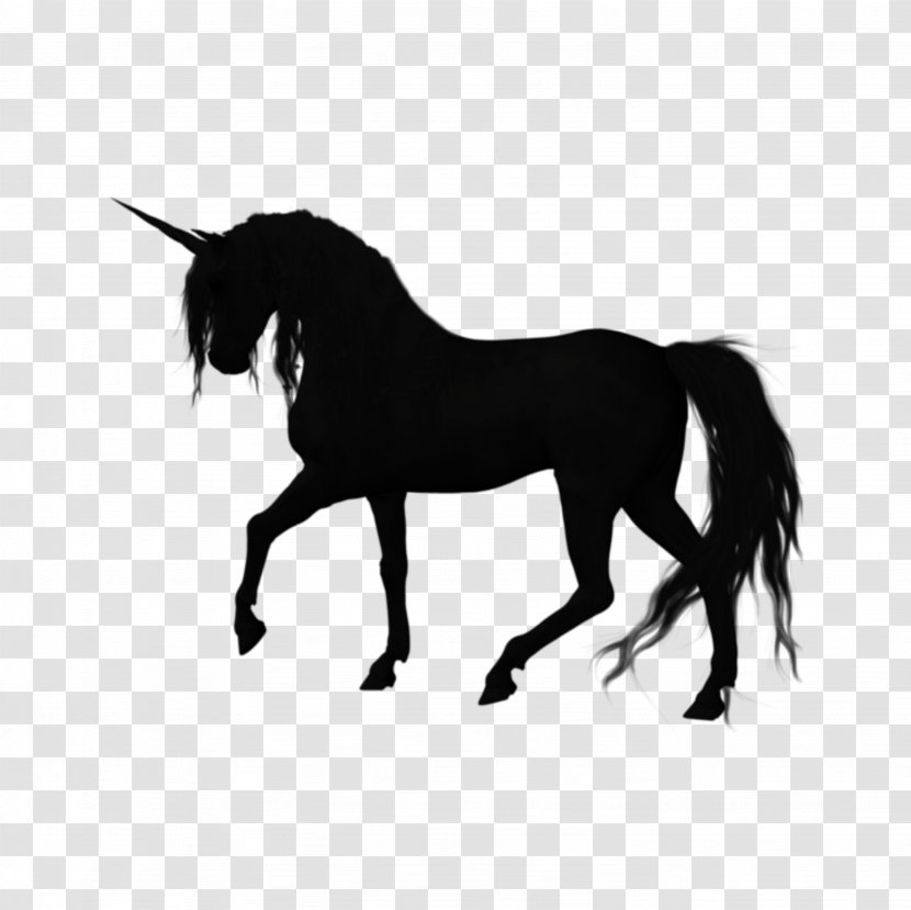 Silhouette American Quarter Horse Stallion Vector Graphics Image - Stock Photography - Unicorn Transparent PNG