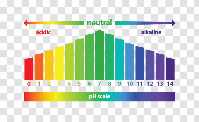 Diagram PH Universal Indicator Alkaline Diet Acid - Energy - Healing Fibroids A Doctor's Guide To Natural Cur Transparent PNG