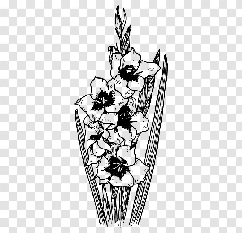 Coloring Book Abyssinian Gladiolus Communis Drawing Stock Photography - Cartoon - Botanical Flower Transparent PNG
