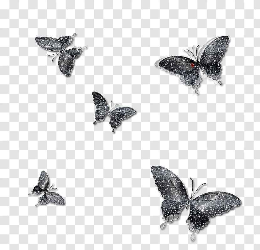 Butterfly Mariposa Insect Moth Clip Art - Monochrome Photography Transparent PNG