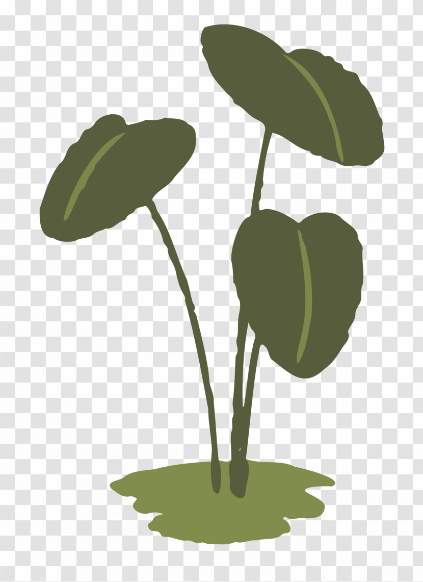 Leaf Plant Stem Flower Plant Science Transparent PNG