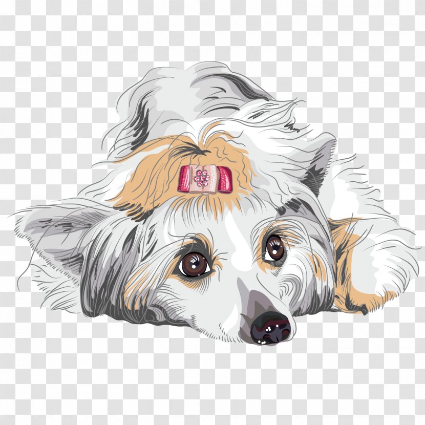 Poodle Cat Animal Illustration - Hand-painted Puppy Transparent PNG
