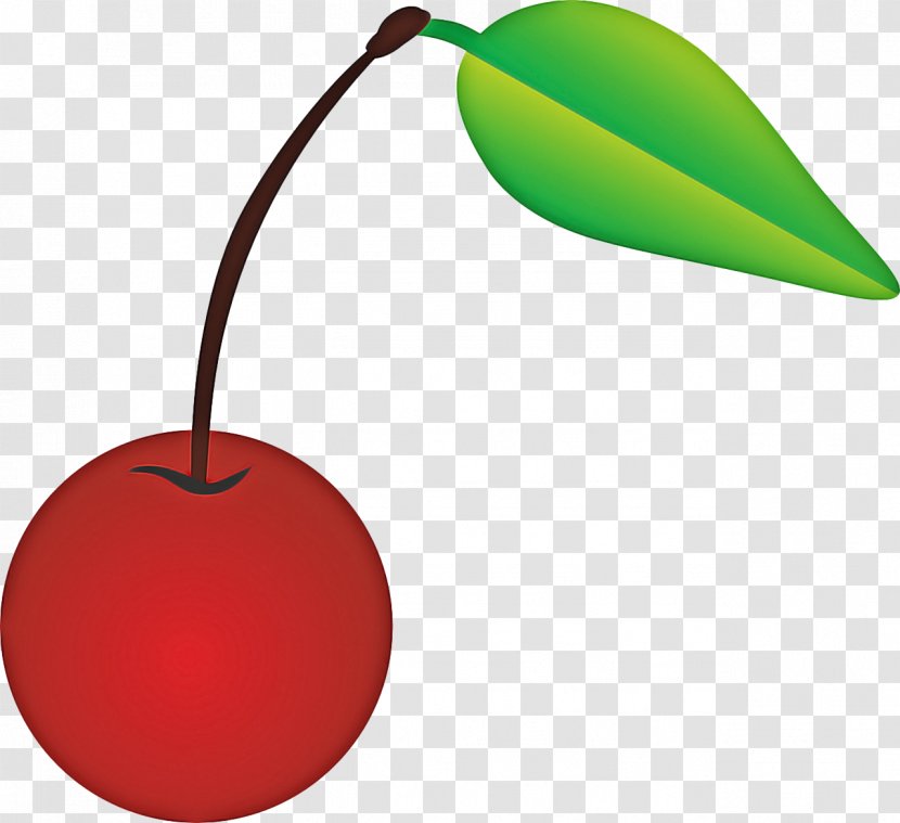 Cherry Tree - Plant - Prunus Drupe Transparent PNG