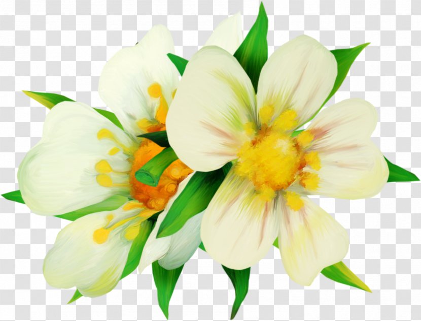 Color Astana Clip Art - Floral Design - Wonderful Review Transparent PNG