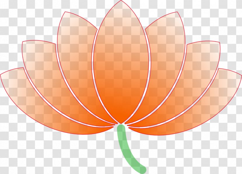 Nelumbo Nucifera Flower Egyptian Lotus Clip Art Transparent PNG
