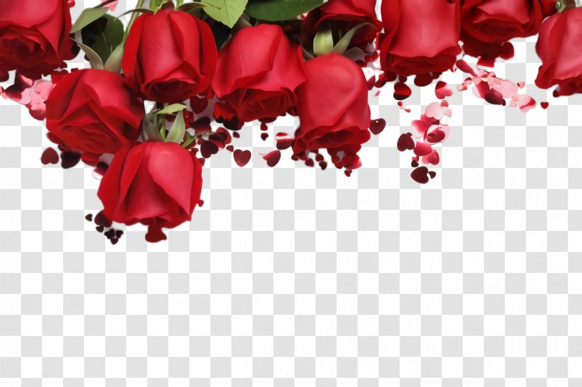 Garden Roses - Plant - Valentines Day Bouquet Transparent PNG