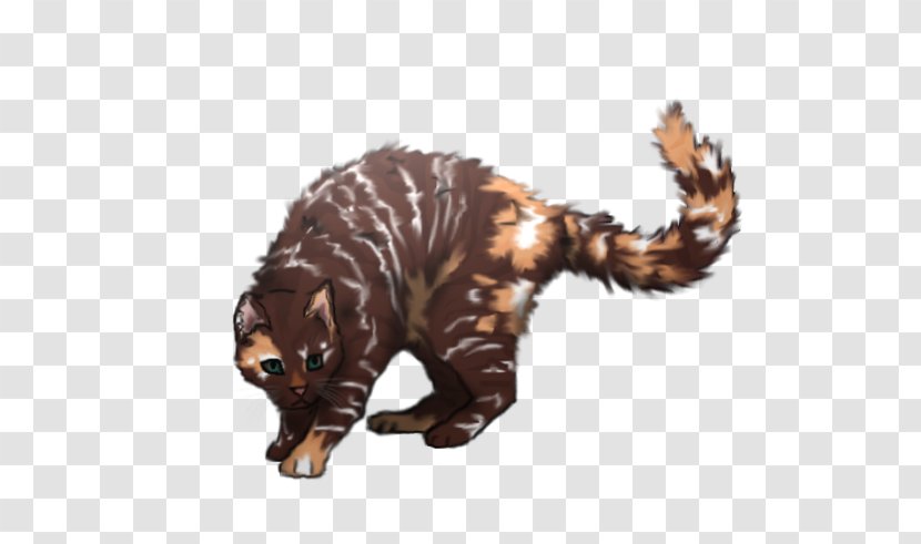 Cat Warriors Sweetpaw Erin Hunter Art - Mammal Transparent PNG