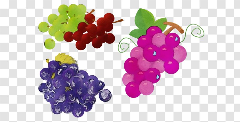 Grape Seedless Fruit Grapevine Family Food - Watercolor - Superfruit Superfood Transparent PNG
