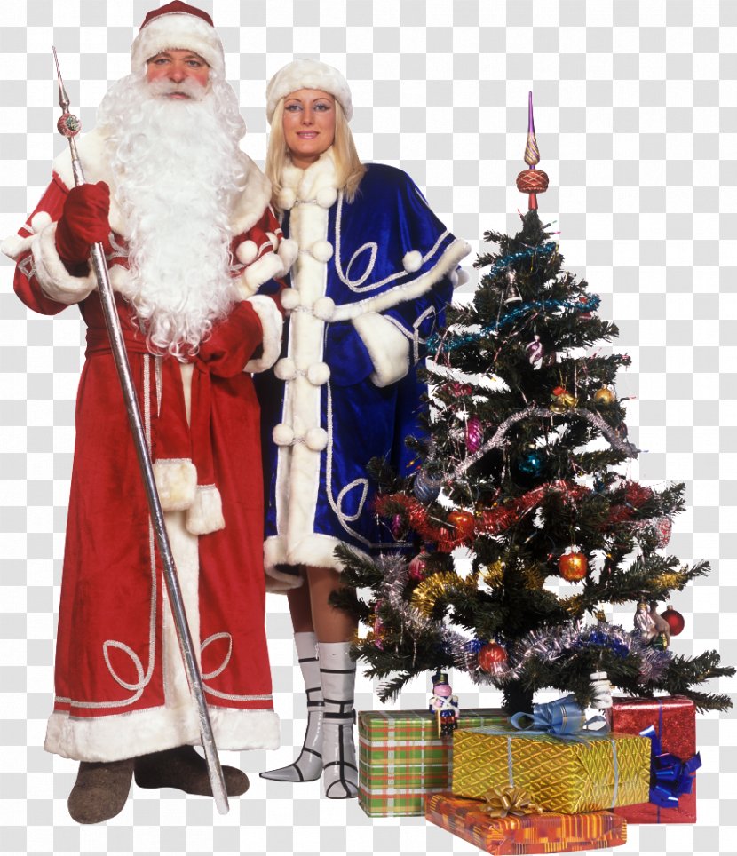 Ded Moroz Snegurochka Grandfather Ziuzia Holiday - New Year Tree - Santa Transparent PNG