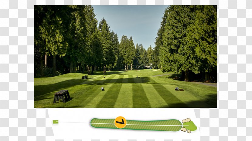Golf Clubs Course Recreation Lawn - Equipment - Womens Pga Championship Transparent PNG