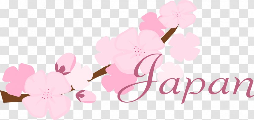 National Cherry Blossom Festival Flower - Beauty - Desktop Wallpaper Transparent PNG