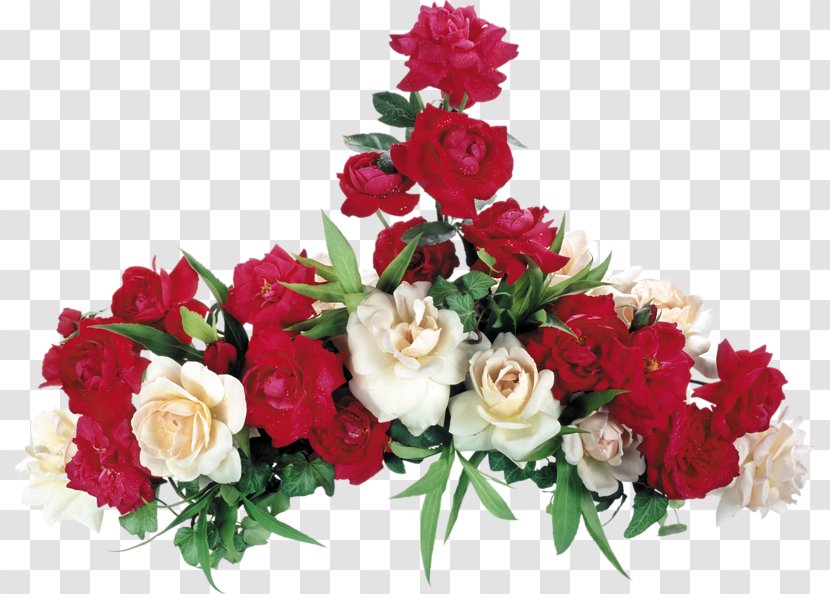 Garden Roses Desktop Wallpaper Flower Red - White - Rose Transparent PNG