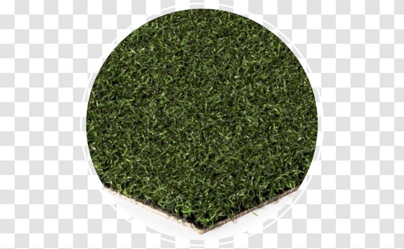 Artificial Turf Golf Course Sod Lawn Sport - Athletics Field Transparent PNG