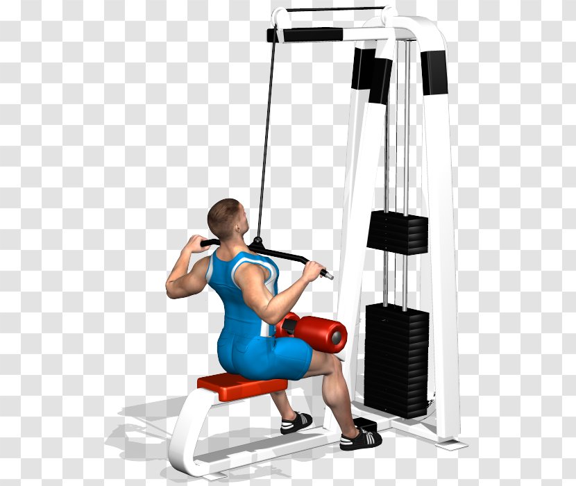 Latissimus Dorsi Muscle Fitness Centre Physical Pulldown Exercise - Watercolor - Bodybuilding Transparent PNG