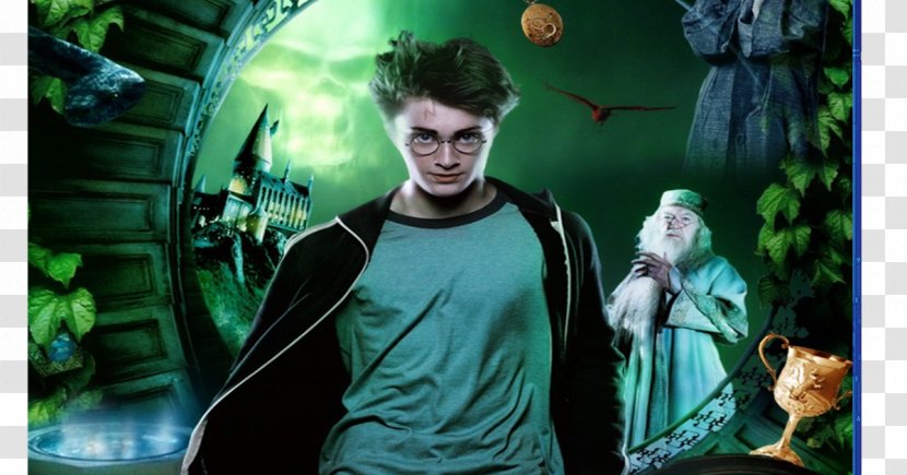 Harry Potter And The Deathly Hallows Lord Voldemort Hogwarts United States - Part 1 Transparent PNG