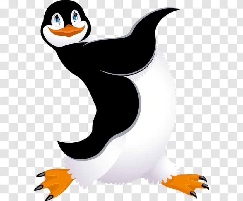 King Penguin Bird Clip Art - Flightless Transparent PNG